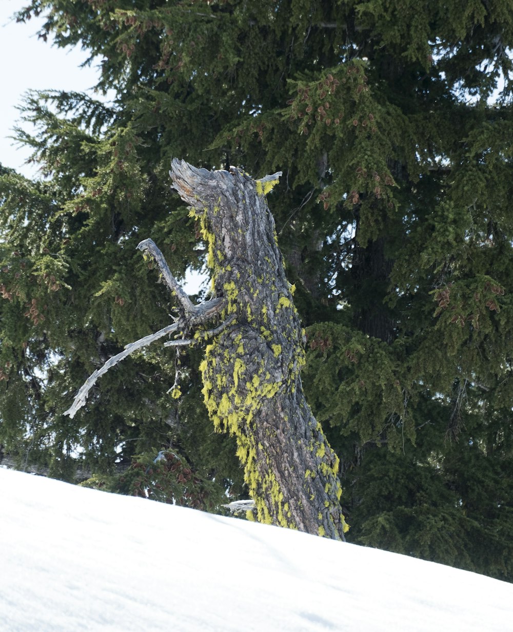 wood sculpture