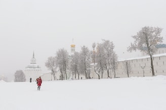 person walking on snow