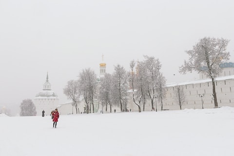 person walking on snow