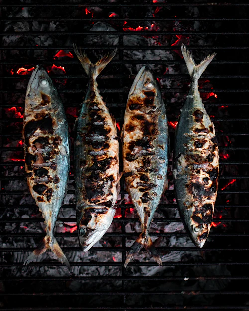 焼き魚（イメージ）
