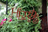 A decorative metal sign with the word 'HERBS' in curly letters is hanging among lush green plants. Bright pink flowers are visible in the background, adding a splash of color to the scene.