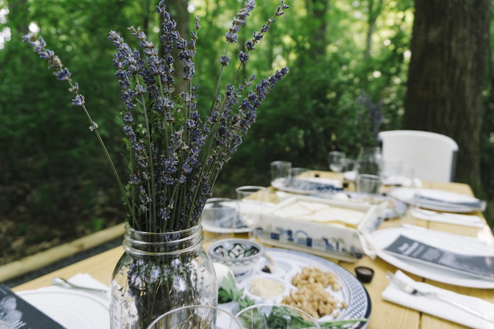 purple petaled flowers