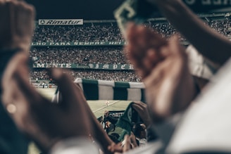A scenic view of a sports stadium filled with cheering fans during a match.