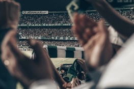Fans waving flags and scarves in the stadium stands.