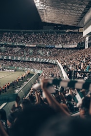 A vibrant stadium filled with cheering fans waving scarves under bright floodlights.