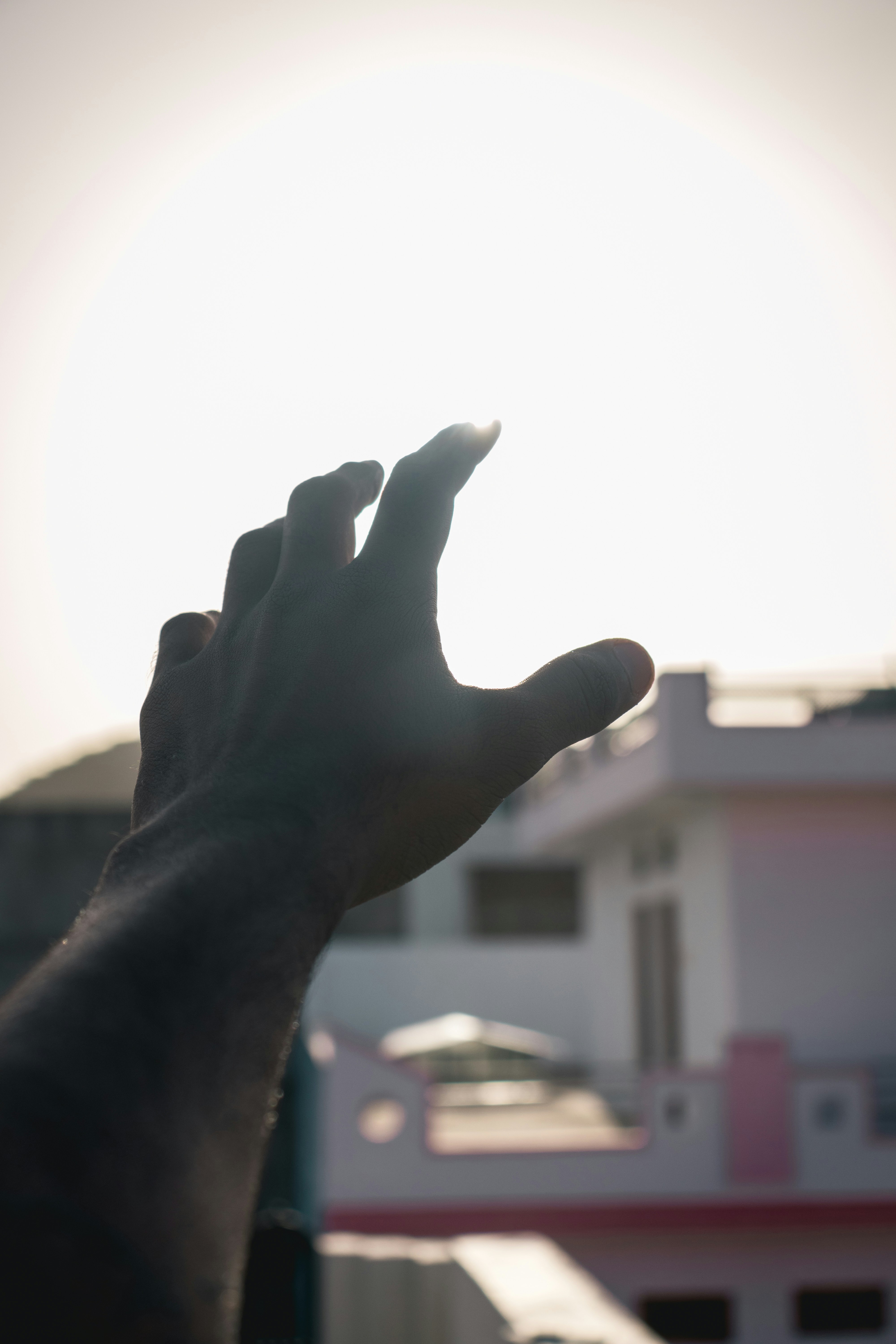 Photo by manthansharma