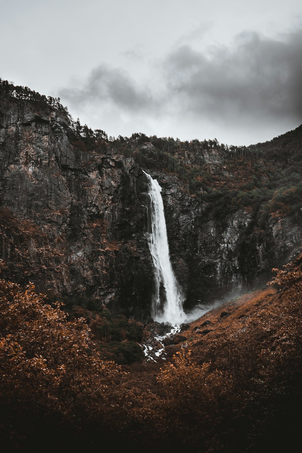 waterfalls in forest under white clouds