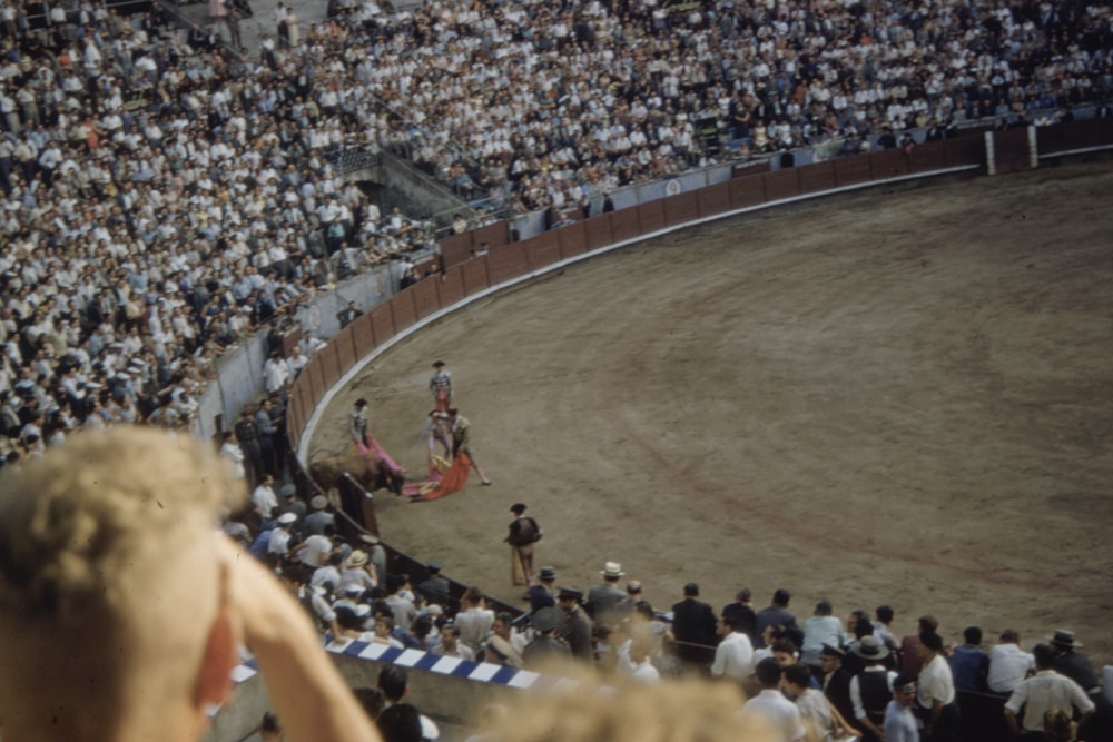 people watching bull fight