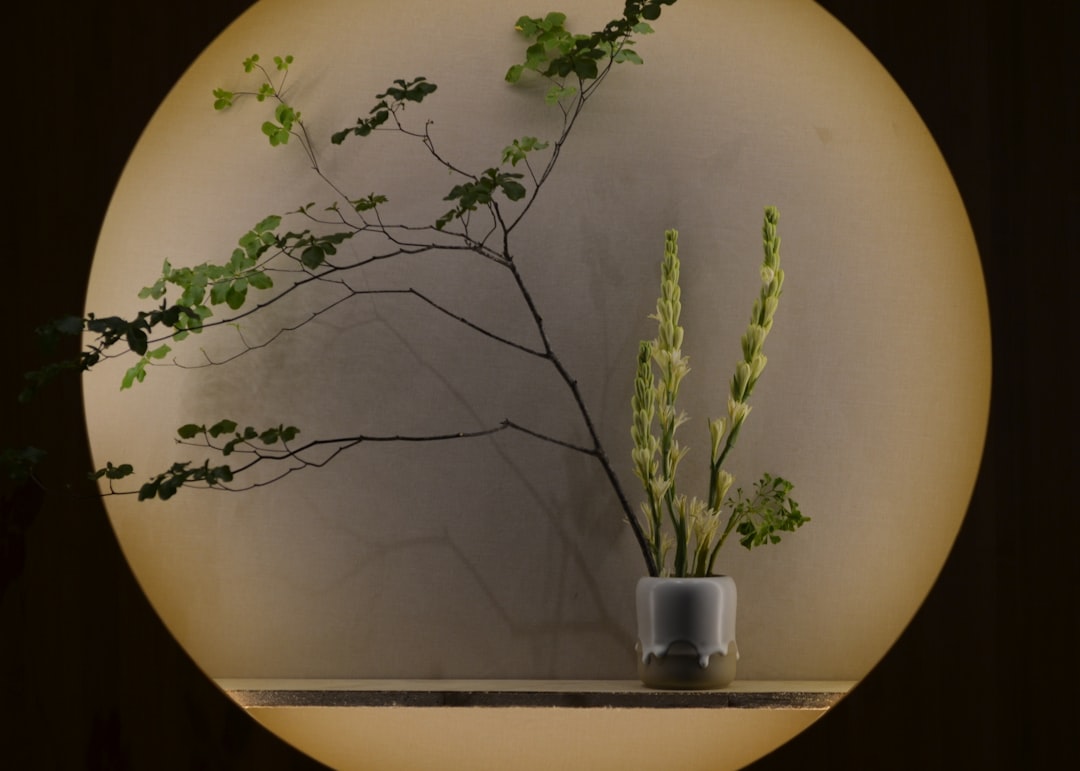 green plants in gray pot beside wall, Suits the environment