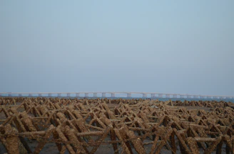 A landscape featuring a large expanse of geometric, rust-colored structures in the foreground resembling a field of tetrahedral shapes. Behind them, a long, straight bridge stretches across the horizon under a pale blue sky.