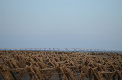 A landscape featuring a large expanse of geometric, rust-colored structures in the foreground resembling a field of tetrahedral shapes. Behind them, a long, straight bridge stretches across the horizon under a pale blue sky.