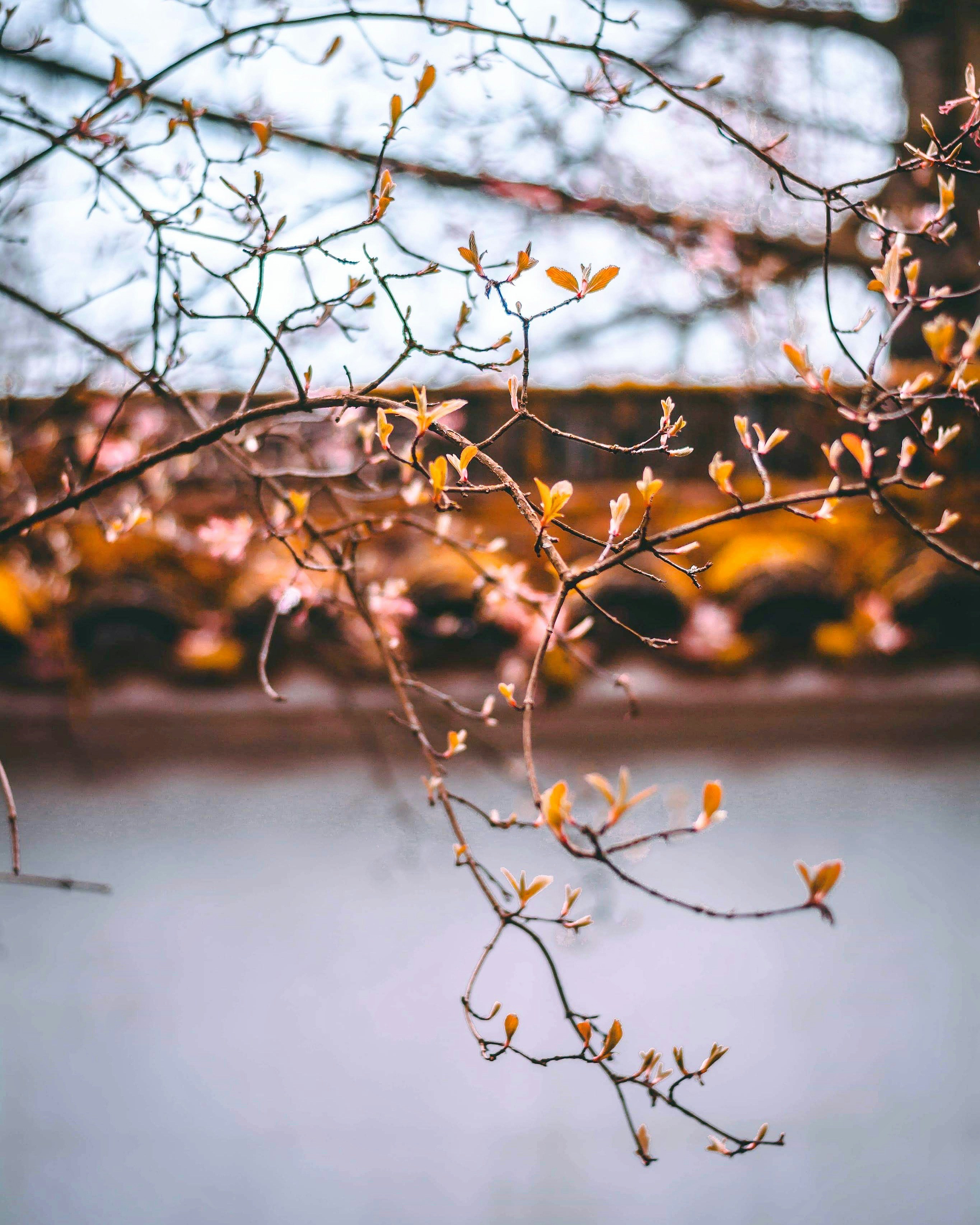 Photo by ferorantess