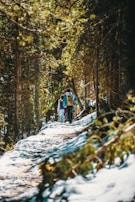 Couples trekking along a shaded jungle trail with rays of sunlight filtering through the trees.