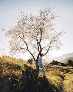 A serene outdoor scene with a person sitting barefoot on grass, basking in warm sunlight.