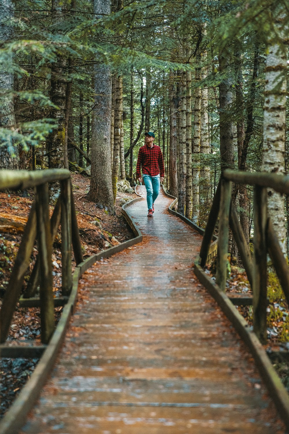 person in red long-sleeved shirt walking at pathway in the forest