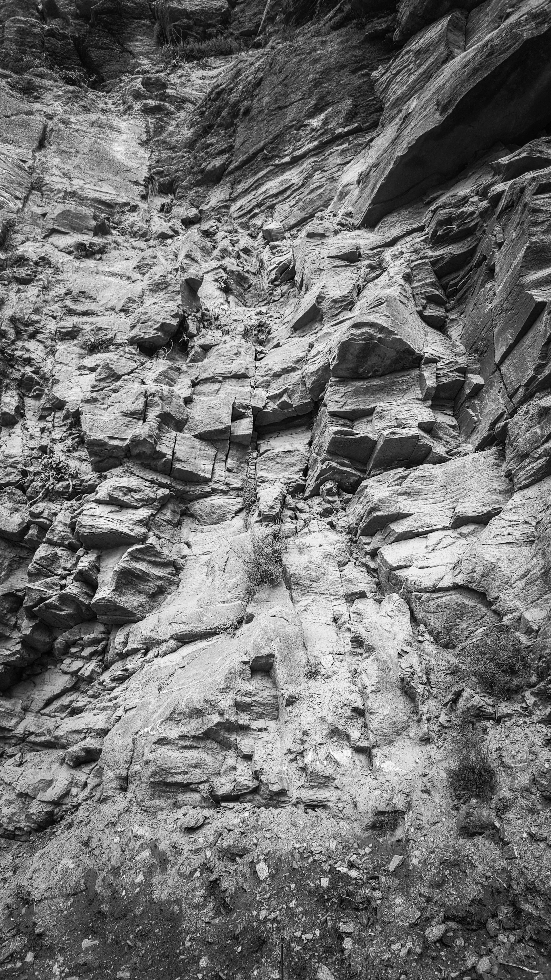 An artistic black-and-white close-up of weathered rock textures found near Liberty Peak, highlighting nature's intricate details.