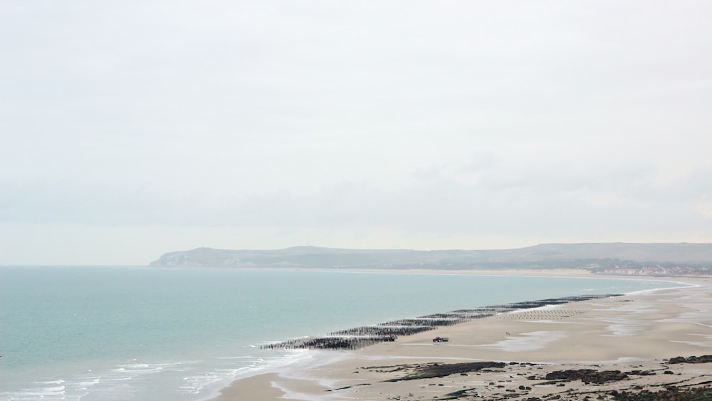 seashore during daytime