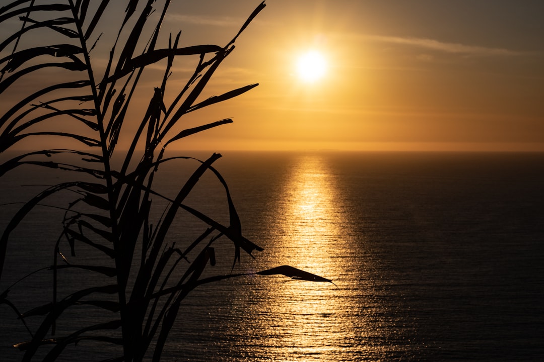 sunset photography,