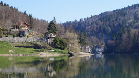 A serene lakeside scene with a tranquil water surface reflecting the surrounding landscape. Several charming houses are nestled among lush greenery, with a backdrop of dense forested hills. The sky is clear with a soft blue hue, enhancing the peaceful ambiance.