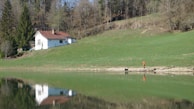 A serene landscape featuring a small white house with a red roof situated on a sloping green hillside. The house is surrounded by tall pine trees and bare trees. In the foreground, a calm body of water reflects the greenery and the house. A lone person wearing a bright orange jacket stands near the water's edge with a dog.