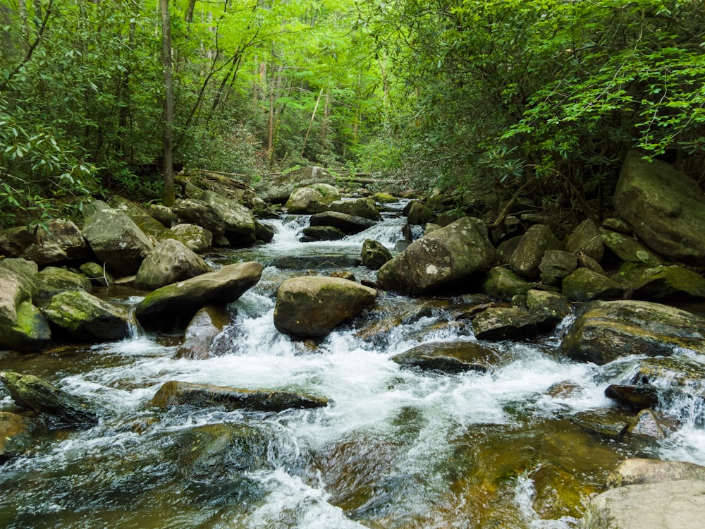 rio durante o dia