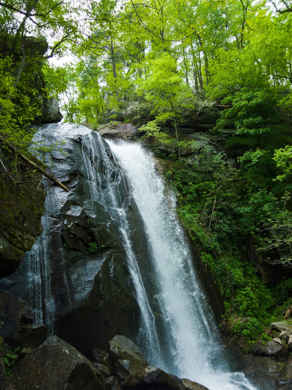 waterfalls in the forest during daytime