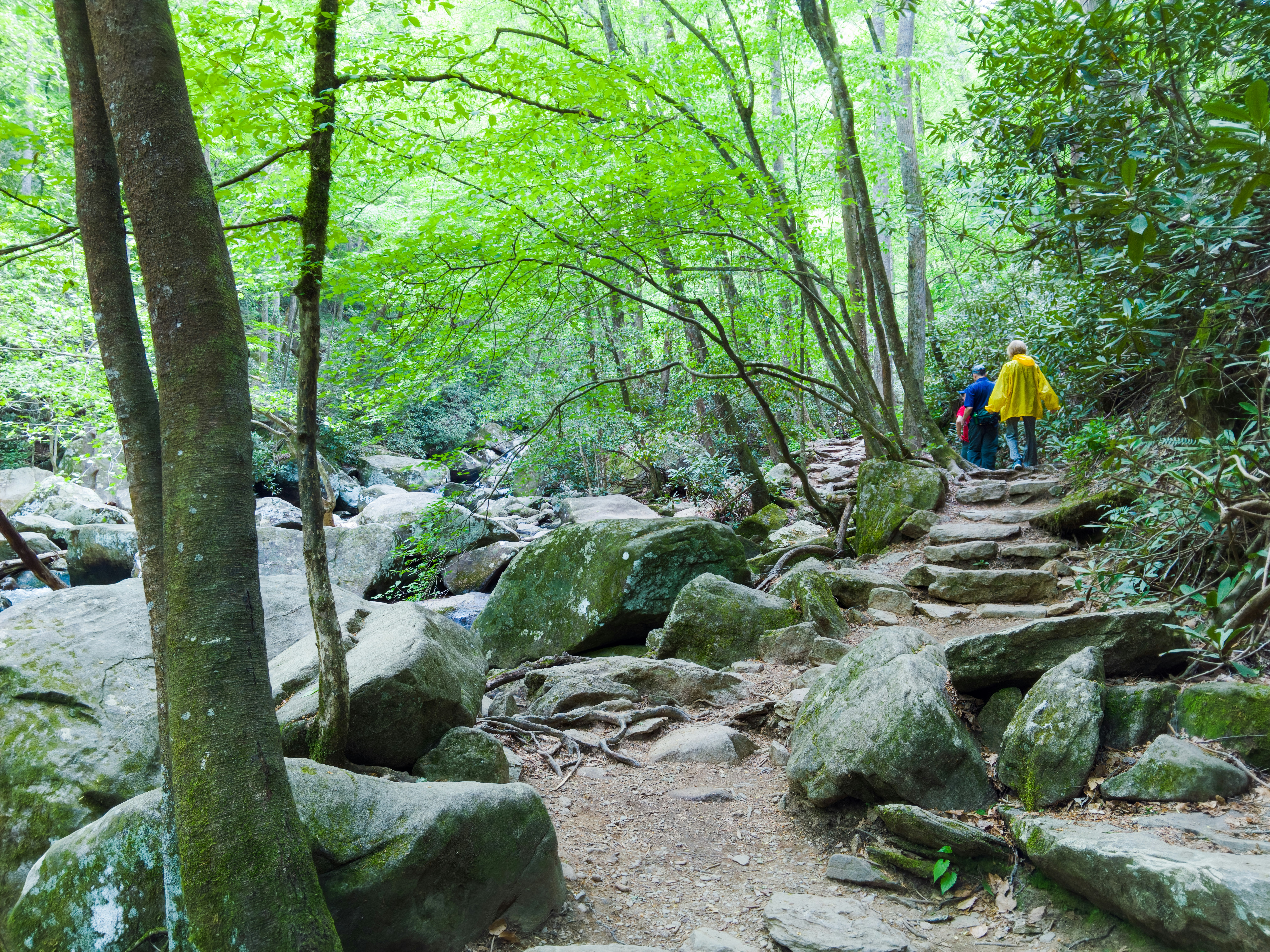 10 Hiking Routes for Mindfulness in Nature Retreats