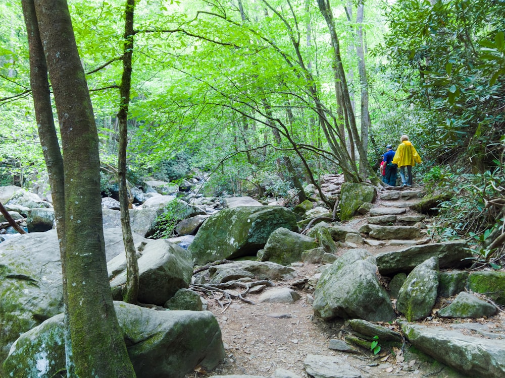 Personnes marchant sur le sentier près de la rivière