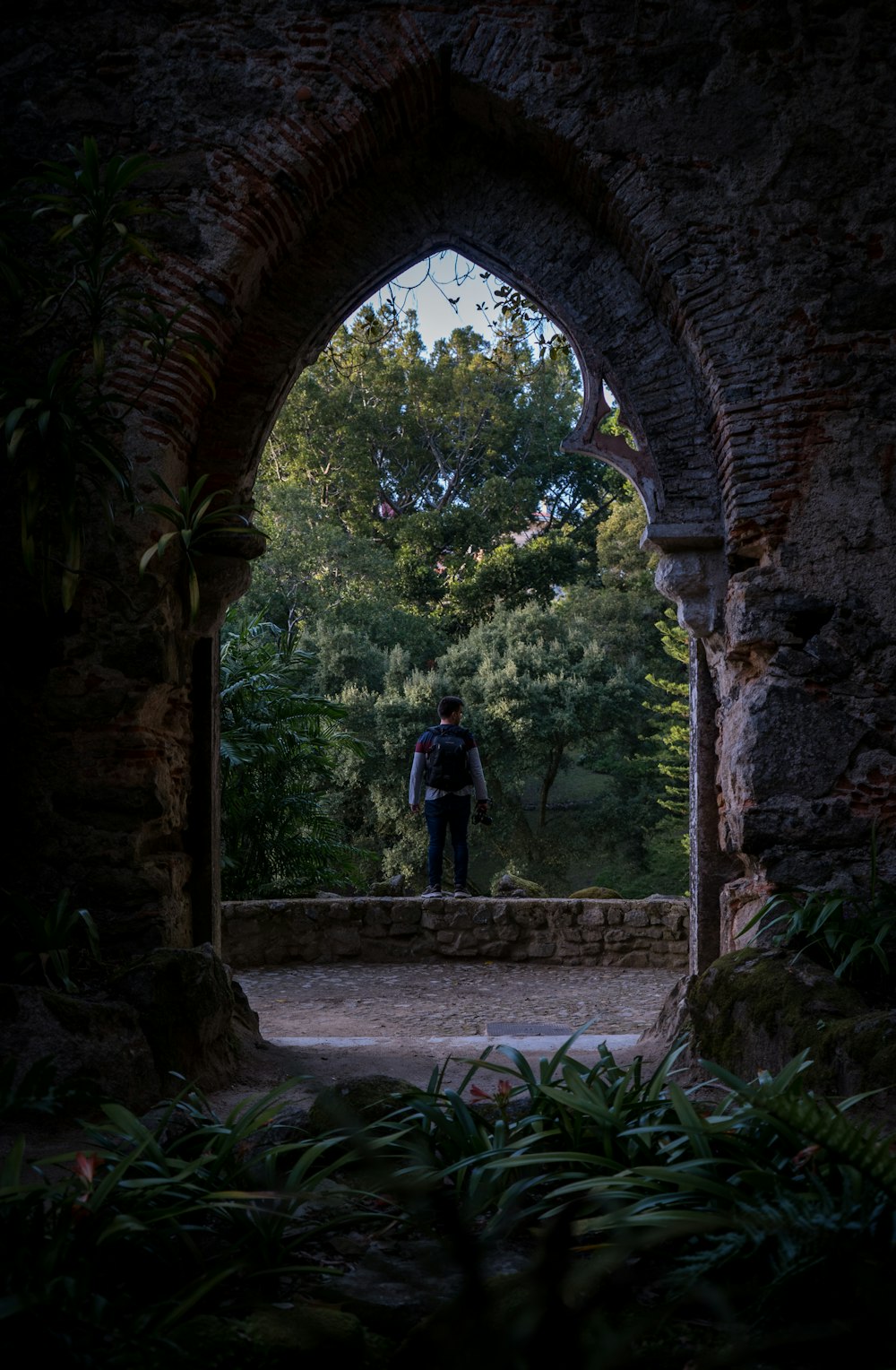 person in blue shirt through pathway