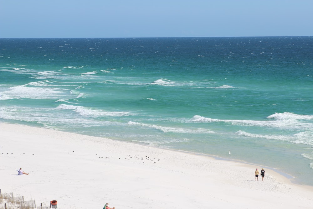 aerial photography of shore during daytime