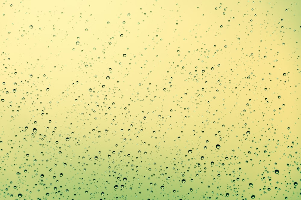 a close up of water droplets on a window