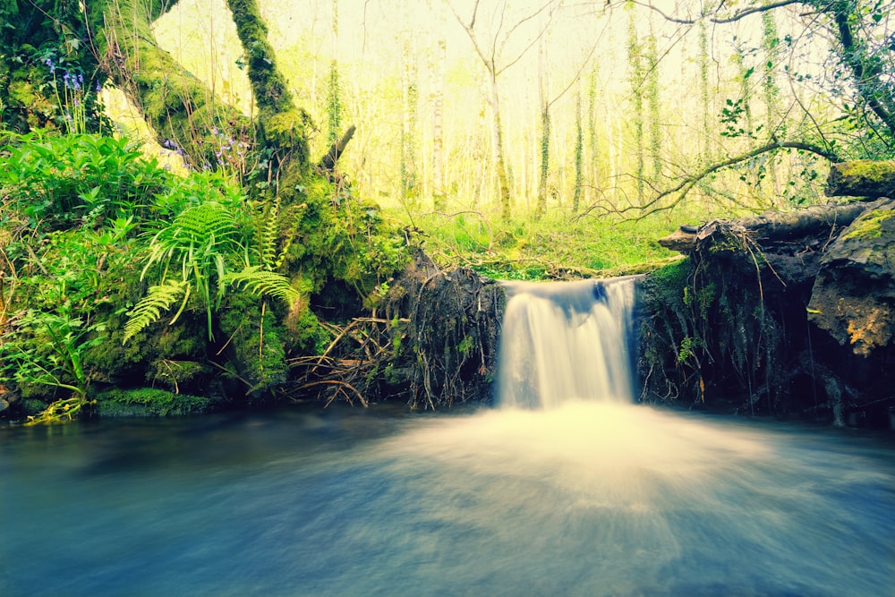 time lapse photo of upstream