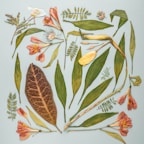 Assortment of colorful dried herbs and flowers arranged on a natural fabric