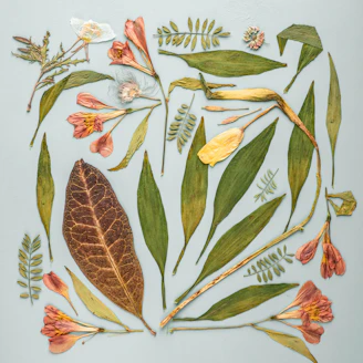 A serene arrangement of fresh herbs and dried plants symbolizing natural health remedies.
