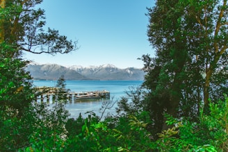 A peaceful lakeside scene framed by lush greenery and distant mountain peaks.