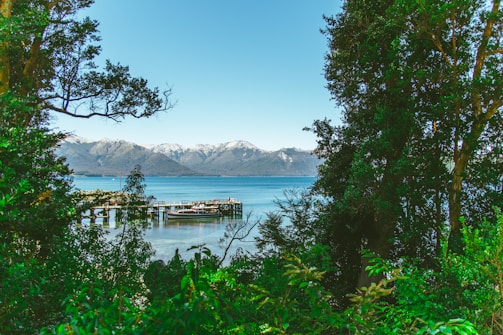A peaceful lakeside scene framed by lush greenery and distant mountain peaks.