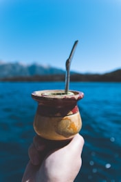 A hand holds a traditional mate cup with a metal straw against the backdrop of a large, serene lake and distant mountains under a clear blue sky.