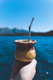 A hand holds a traditional mate cup with a metal straw against the backdrop of a large, serene lake and distant mountains under a clear blue sky.