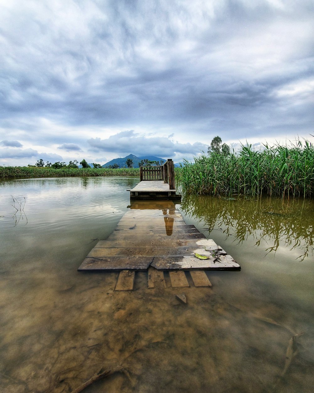 brown wooden dock