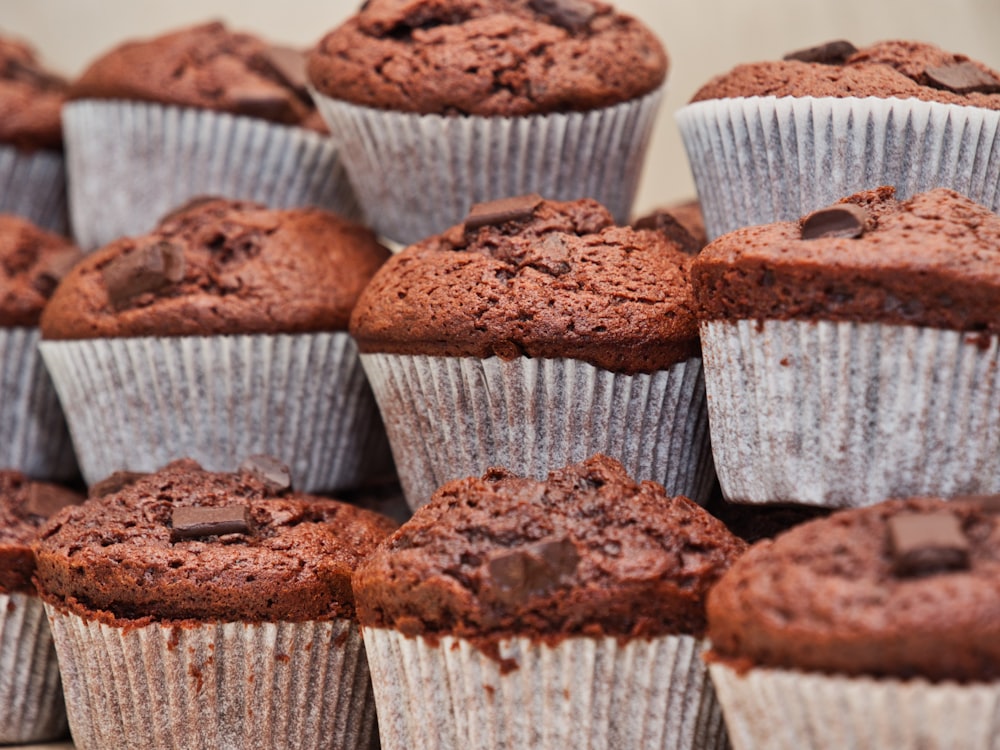 chocolate cupcake lot close-up photography