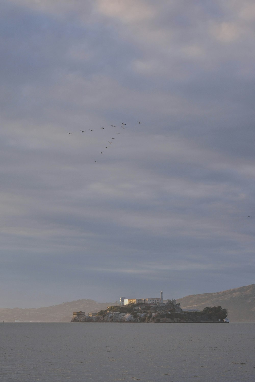 アルカトラズ島上空をV字編隊で飛ぶ鳥たち