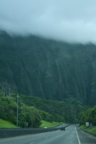 A highway curves gently through a lush, green landscape with dense vegetation and tall trees. A mountain with steep ridges is partially shrouded in thick, low-hanging clouds, creating a dramatic natural backdrop. Several cars are scattered along the road, suggesting a peaceful drive through a scenic area.