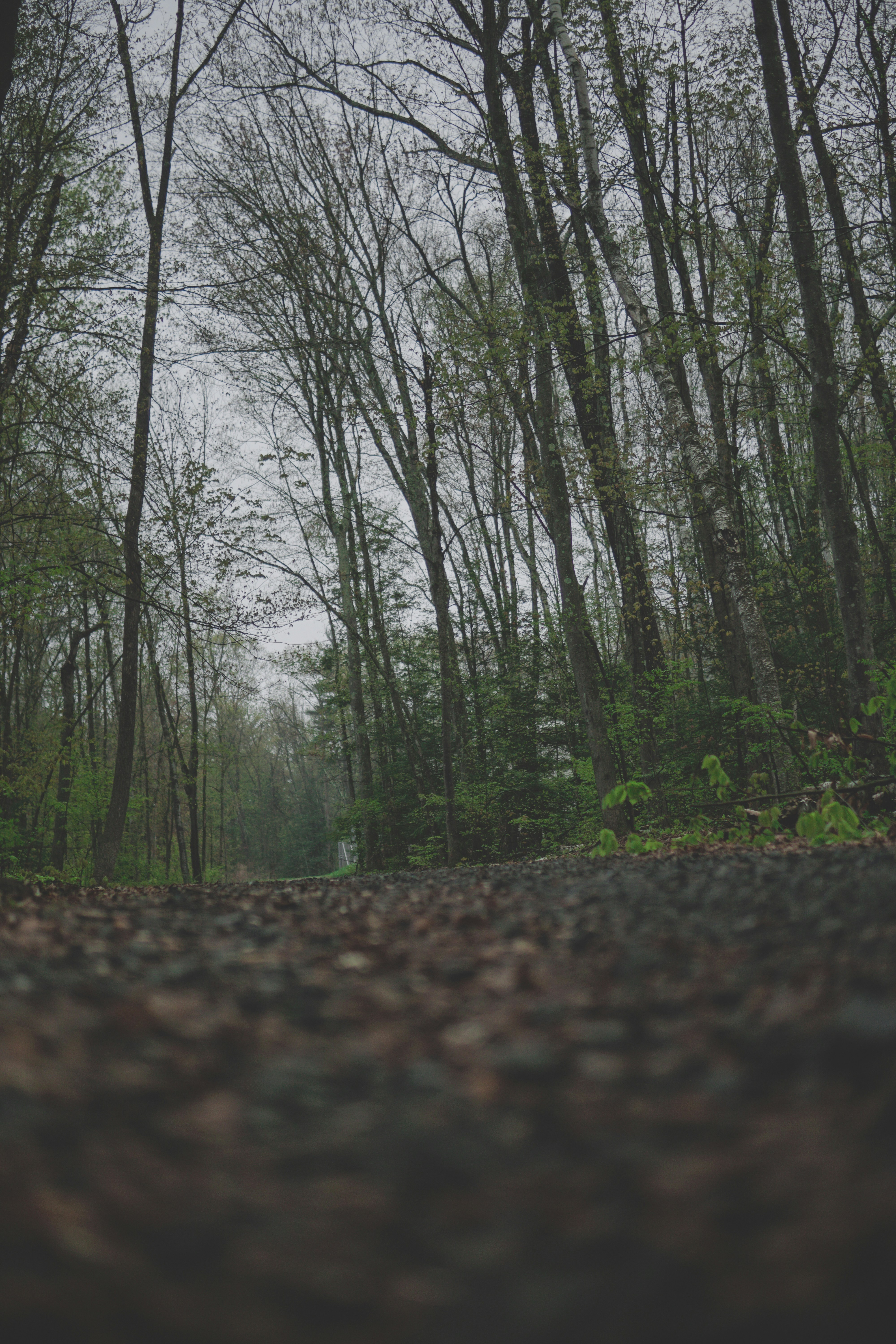 Photo by directedbyshawn