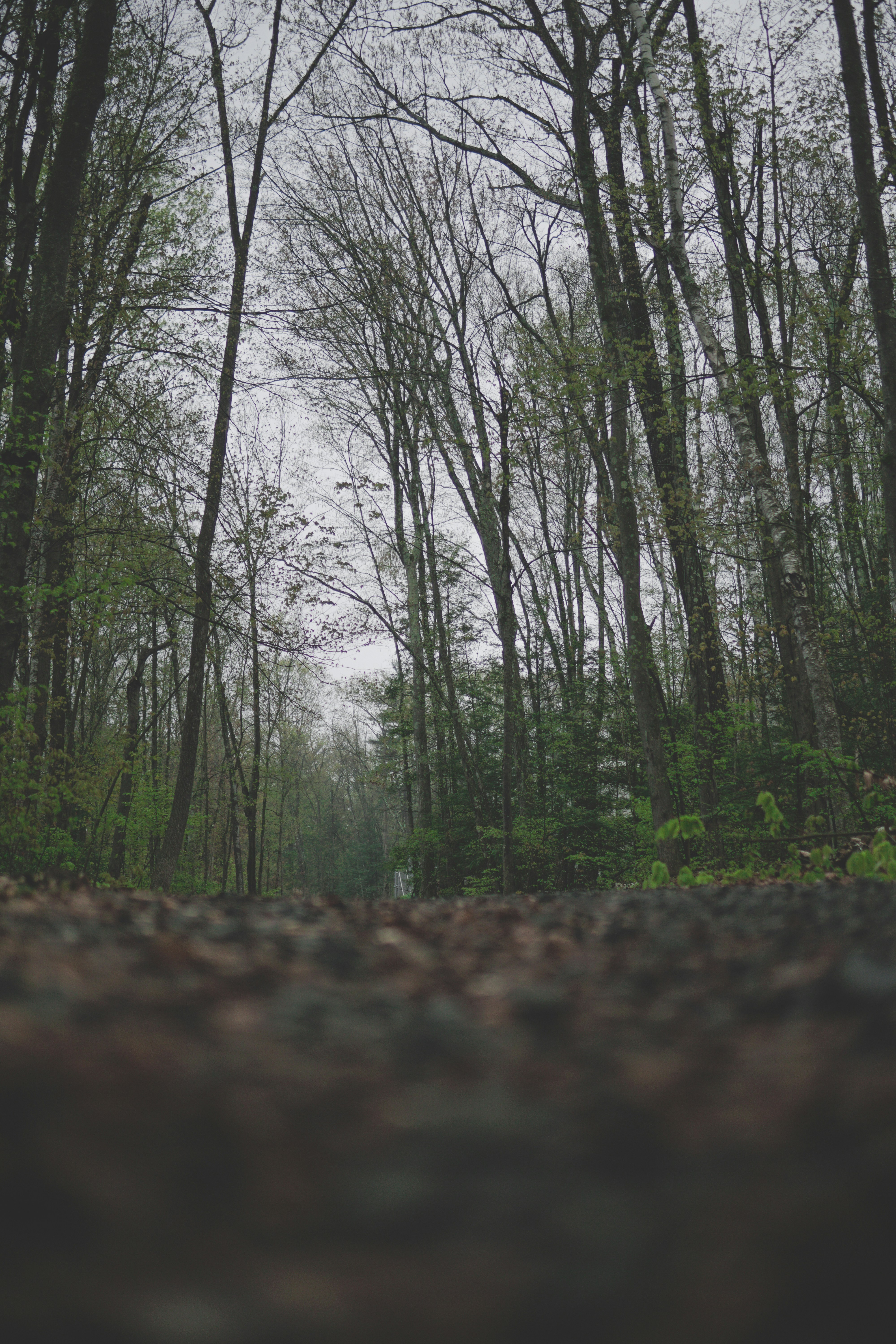 Photo by directedbyshawn