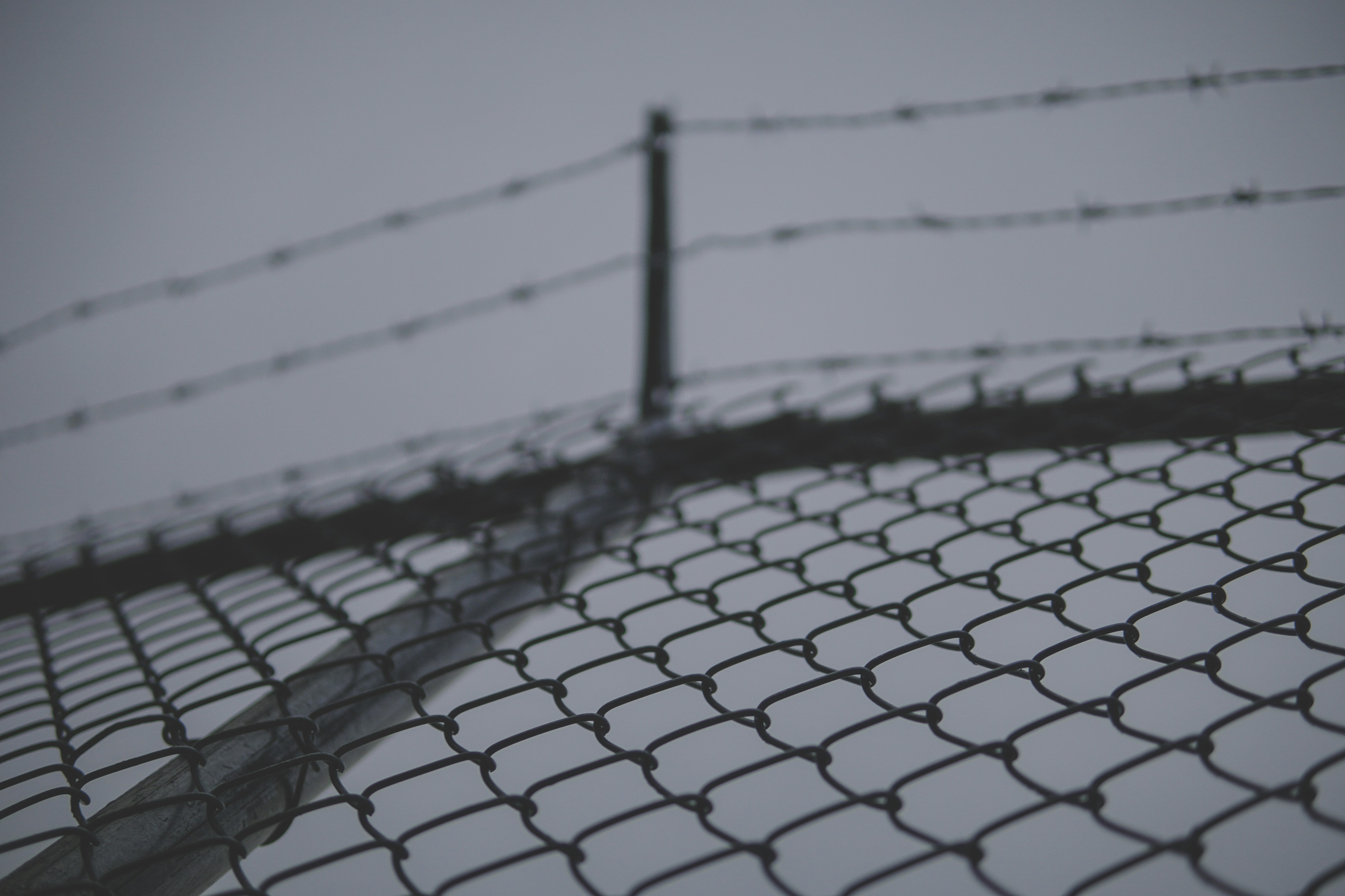 Photo by directedbyshawn