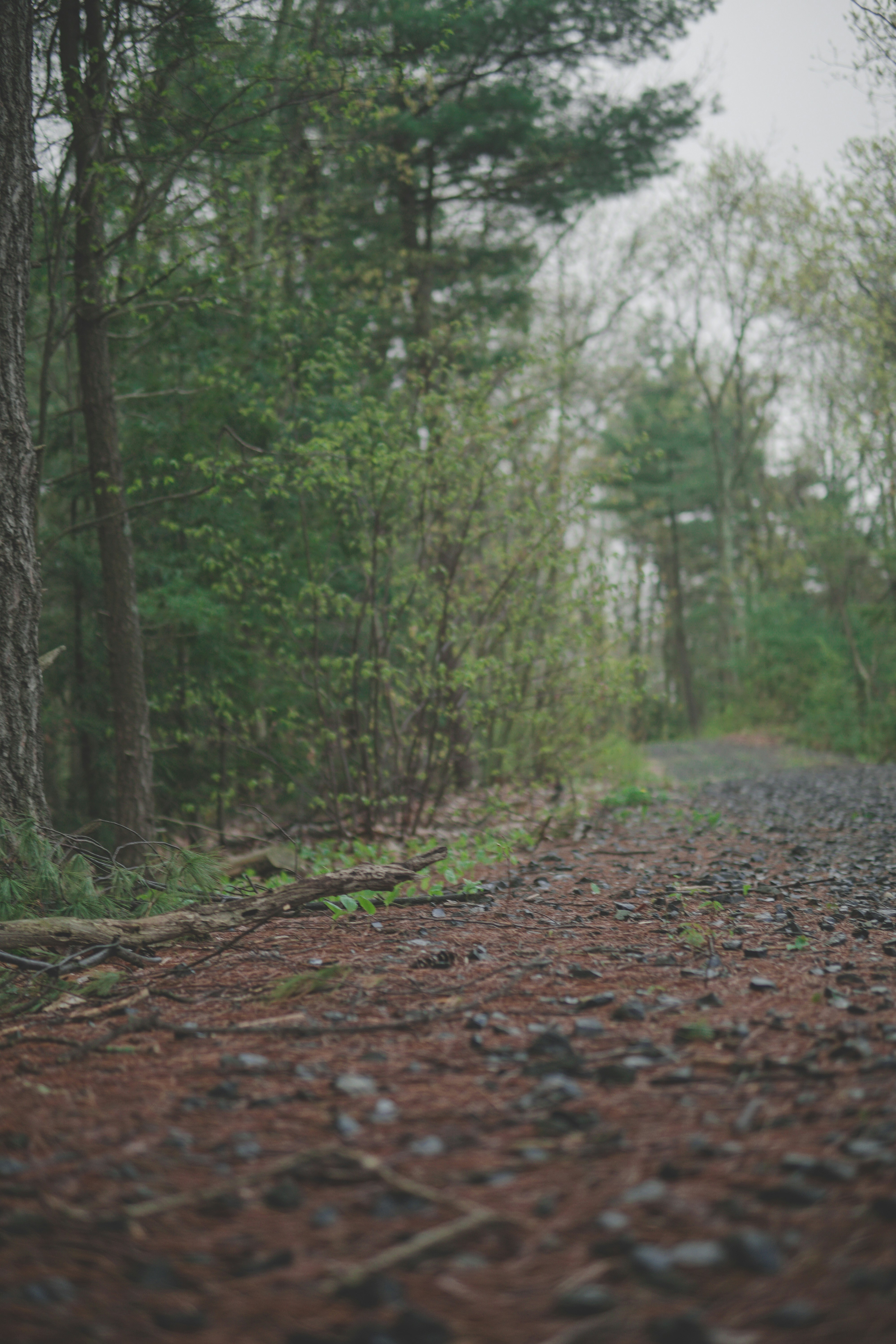 Photo by directedbyshawn