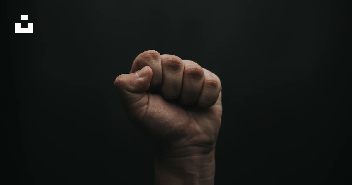 Foto Fotografía de puño humano – Imagen Golpe de puño gratis en Unsplash