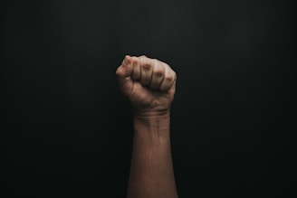 left human fist