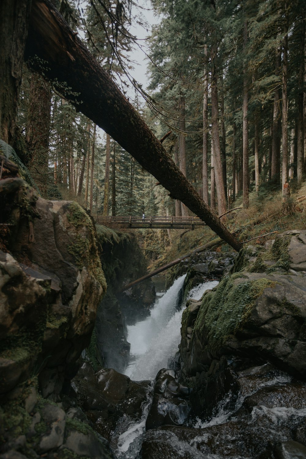 waterfall during daytime