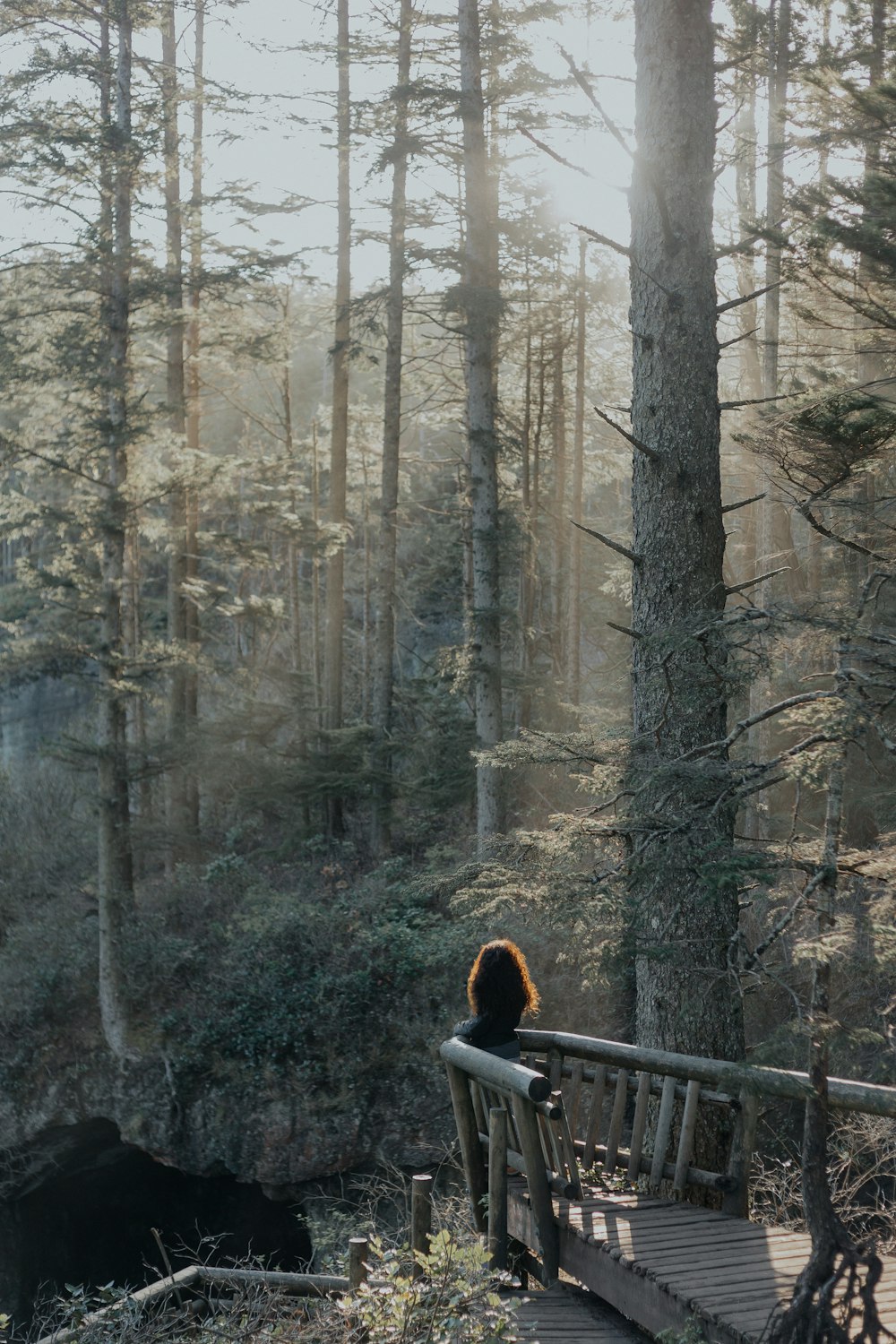 person standing near brown wooden railings in the forest